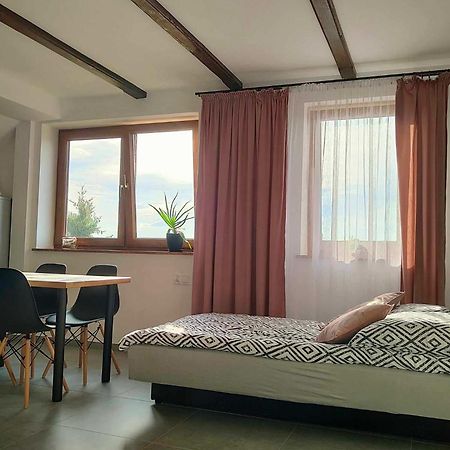 Apartamenty U Anety Wilkasy Exteriör bild